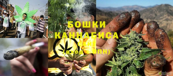 крисы Зерноград