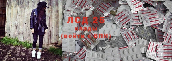 крисы Зерноград