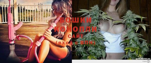гашик Иннополис