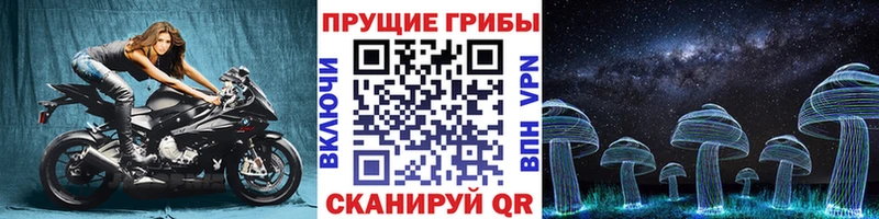 Купить закладки  Высоковск  Псилоцибиновые грибы Psilocybine cubensis 